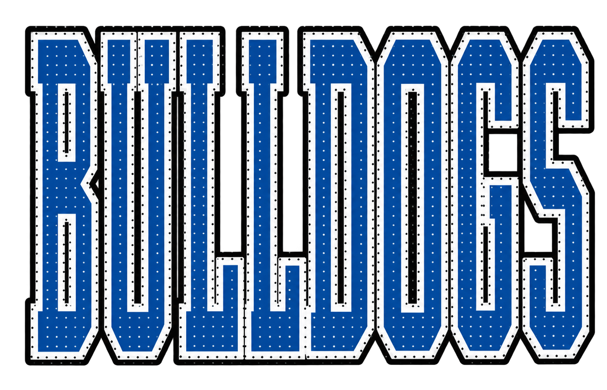 Baltic Bulldogs Dots Boxy T